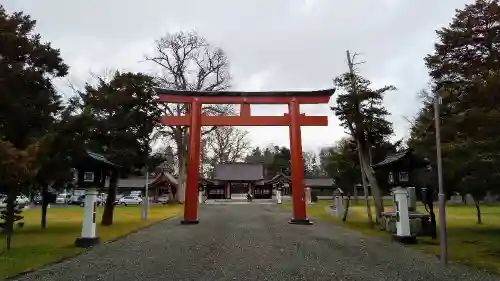 北海道護國神社の鳥居