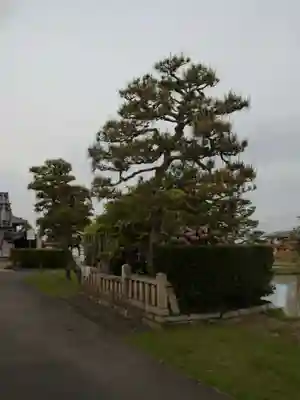 観音寺(滋賀県)