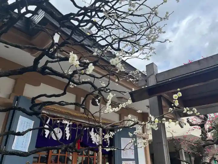 穏田神社(東京都)