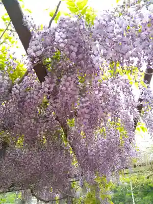 和氣神社(和気神社)の自然