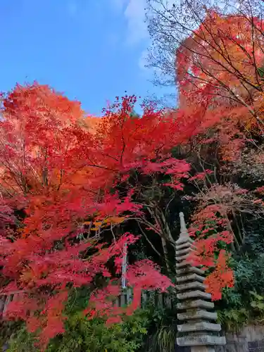 犬山寂光院の塔