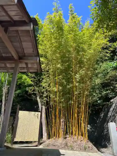 神祇大社の{uncategorized: "未分類", other: "その他", undefined: "問題あり", building: "その他建物", grave: "お墓", sacred_gate: "鳥居", guardian: "狛犬", statue: "像", buddha: "仏像", history: "歴史", nature: "自然", garden: "庭園", animal: "動物", pagoda: "塔", temizu: "手水舎", mountain_gate: "山門・神門", sanctuary: "本殿・本堂", subordinate: "末社・摂社", art: "芸術", scenery: "景色", jizo: "地蔵", ema: "絵馬", goshuin: "御朱印", omikuji: "おみくじ", items: "授与品その他", amulet: "お守り", goshuincho: "御朱印帳", eats: "食事", festival: "お祭り", votive_dance: "神楽", shichigosan: "七五三参", wedding: "結婚式", experience: "体験その他", initially: "初詣", around: "周辺", anti_infection: "感染症対策"}