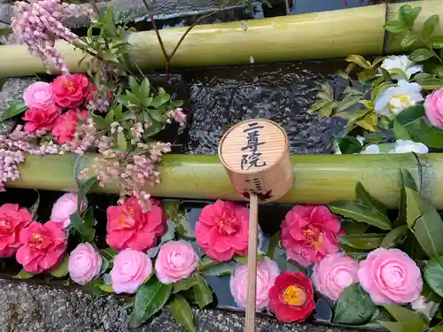 二尊院の手水舎