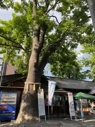 札幌諏訪神社のその他建物