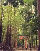 御蔭神社の鳥居