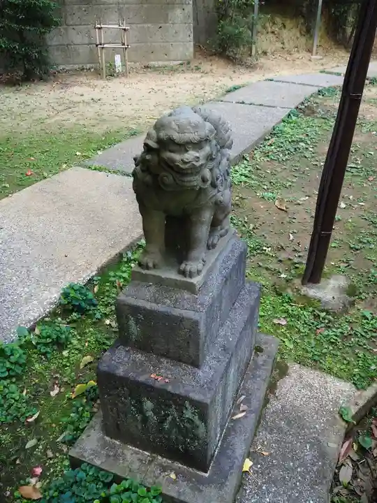 熊野神社(杉田・中原)の狛犬
