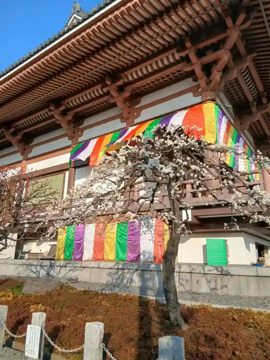 西新井大師総持寺の{uncategorized: "未分類", other: "その他", undefined: "問題あり", building: "その他建物", grave: "お墓", sacred_gate: "鳥居", guardian: "狛犬", statue: "像", buddha: "仏像", history: "歴史", nature: "自然", garden: "庭園", animal: "動物", pagoda: "塔", temizu: "手水舎", mountain_gate: "山門・神門", sanctuary: "本殿・本堂", subordinate: "末社・摂社", art: "芸術", scenery: "景色", jizo: "地蔵", ema: "絵馬", goshuin: "御朱印", omikuji: "おみくじ", items: "授与品その他", amulet: "お守り", goshuincho: "御朱印帳", eats: "食事", festival: "お祭り", votive_dance: "神楽", shichigosan: "七五三参", wedding: "結婚式", experience: "体験その他", initially: "初詣", around: "周辺", anti_infection: "感染症対策"}