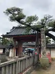 葛井寺(大阪府)