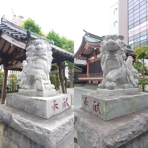 柏神社の狛犬