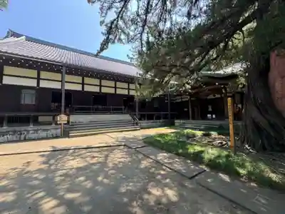 円覚寺(神奈川県)