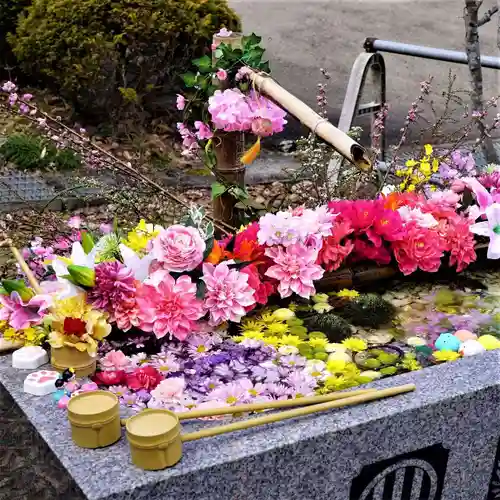 陽林寺の手水舎