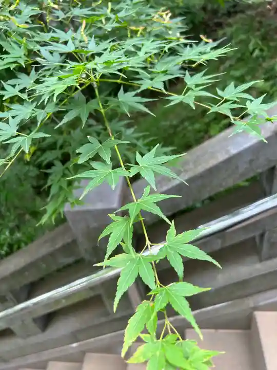 穴八幡宮(東京都)