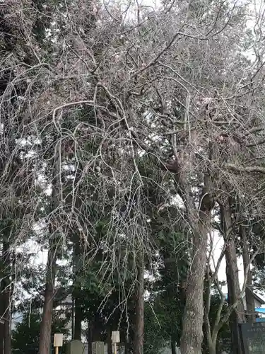伏木香取神社のその他建物