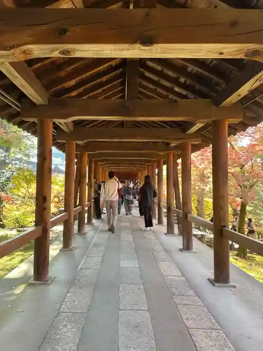 東福禅寺(東福寺)(京都府)