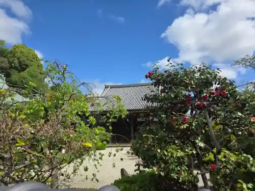正法寺(京都府)