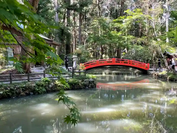 小國神社の{uncategorized: "未分類", other: "その他", undefined: "問題あり", building: "その他建物", grave: "お墓", sacred_gate: "鳥居", guardian: "狛犬", statue: "像", buddha: "仏像", history: "歴史", nature: "自然", garden: "庭園", animal: "動物", pagoda: "塔", temizu: "手水舎", mountain_gate: "山門・神門", sanctuary: "本殿・本堂", subordinate: "末社・摂社", art: "芸術", scenery: "景色", jizo: "地蔵", ema: "絵馬", goshuin: "御朱印", omikuji: "おみくじ", items: "授与品その他", amulet: "お守り", goshuincho: "御朱印帳", eats: "食事", festival: "お祭り", votive_dance: "神楽", shichigosan: "七五三参", wedding: "結婚式", experience: "体験その他", initially: "初詣", around: "周辺", anti_infection: "感染症対策"}