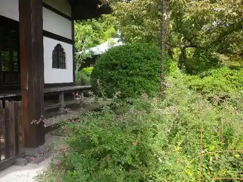 浄光明寺の自然