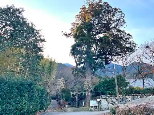 吉木若宮八幡宮(福岡県)