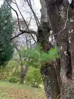 香取神社(福島県)