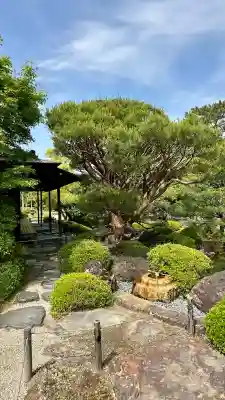 城南宮(京都府)