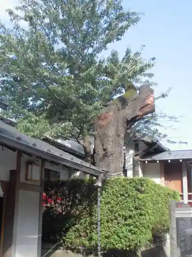 神鳥前川神社の自然