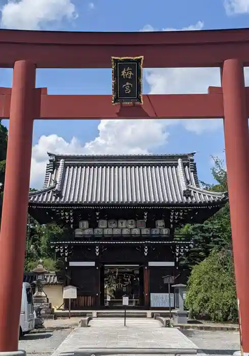 梅宮大社の鳥居