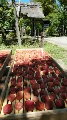 東慶寺(神奈川県)