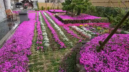 寿量山　速成寺の庭園