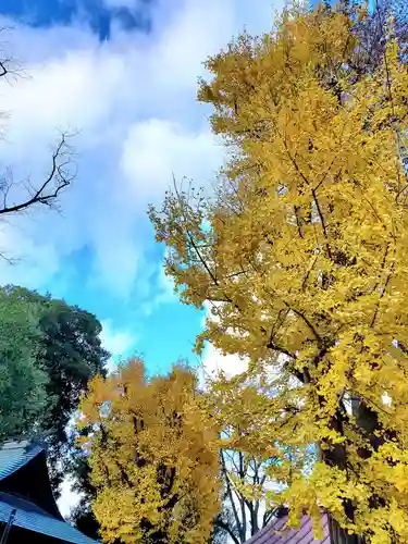 阿邪訶根神社の自然