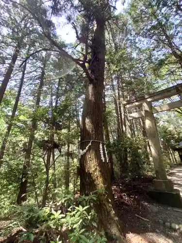 金子神社(埼玉県)