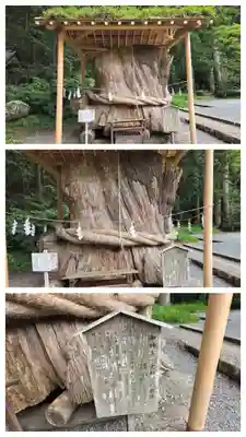 小國神社(静岡県)