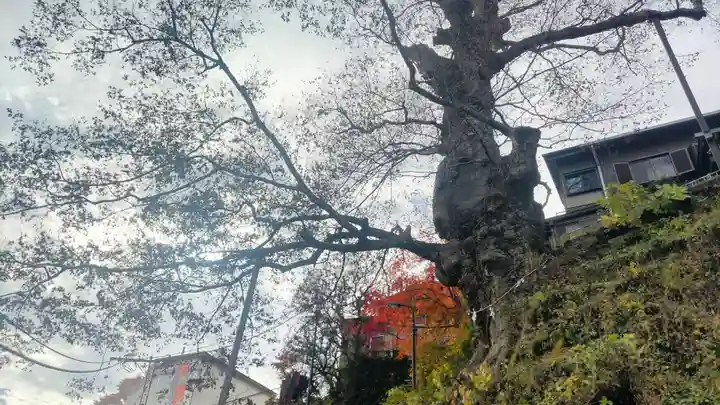 武蔵御嶽神社(東京都)