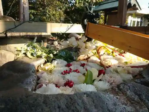 都波岐奈加等神社の手水舎