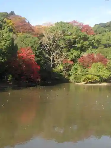 鶴岡八幡宮の庭園