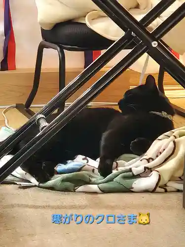 高司神社〜むすびの神の鎮まる社〜(福島県)