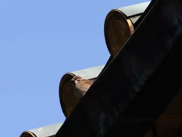 豊川稲荷東京別院の{uncategorized: "未分類", other: "その他", undefined: "問題あり", building: "その他建物", grave: "お墓", sacred_gate: "鳥居", guardian: "狛犬", statue: "像", buddha: "仏像", history: "歴史", nature: "自然", garden: "庭園", animal: "動物", pagoda: "塔", temizu: "手水舎", mountain_gate: "山門・神門", sanctuary: "本殿・本堂", subordinate: "末社・摂社", art: "芸術", scenery: "景色", jizo: "地蔵", ema: "絵馬", goshuin: "御朱印", omikuji: "おみくじ", items: "授与品その他", amulet: "お守り", goshuincho: "御朱印帳", eats: "食事", festival: "お祭り", votive_dance: "神楽", shichigosan: "七五三参", wedding: "結婚式", experience: "体験その他", initially: "初詣", around: "周辺", anti_infection: "感染症対策"}