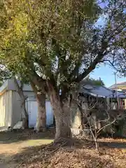 若江鏡神社(大阪府)