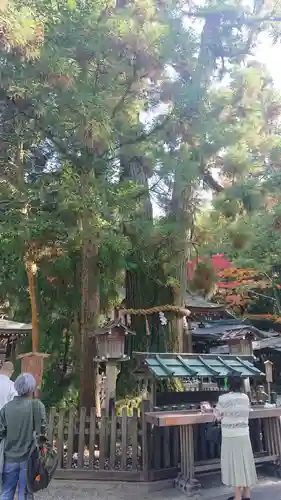 大神神社の自然