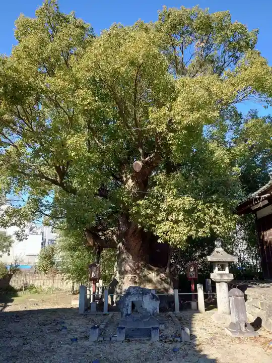新田白山神社(愛知県)