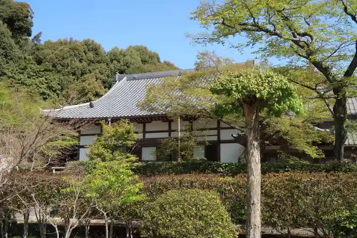光蓮寺の本殿・本堂