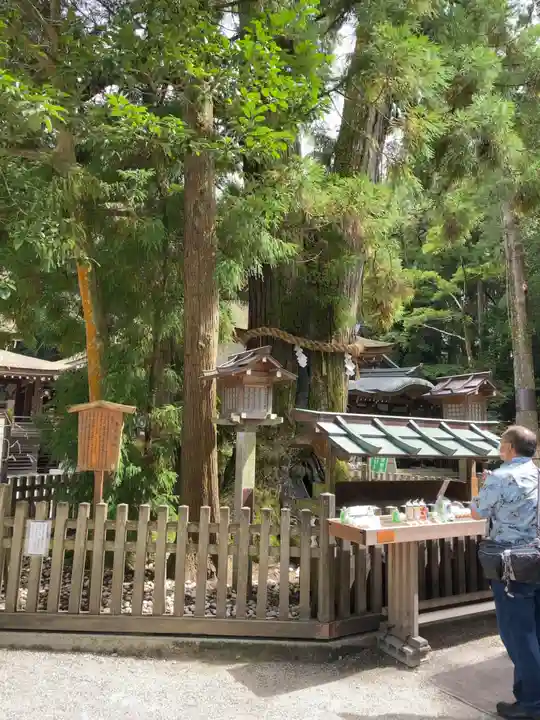 大神神社の自然