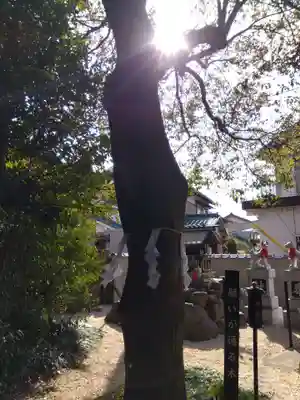 玉三稲荷神社(三重県)