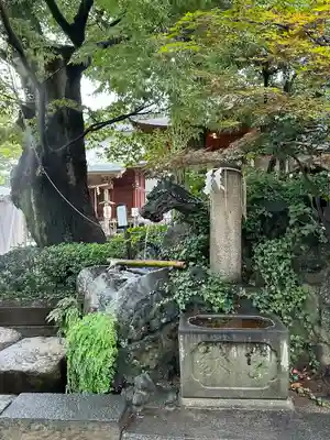 松戸神社(千葉県)