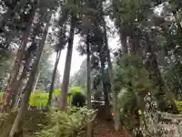 大宮温泉神社(栃木県)