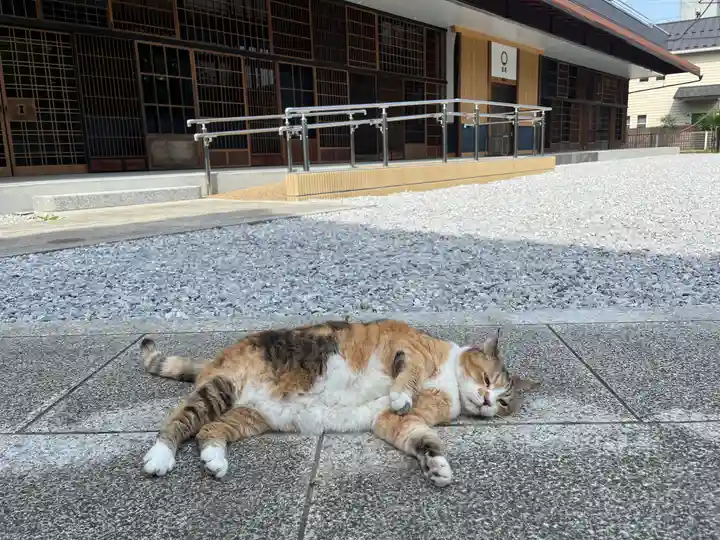 秩父札所十三番 慈眼寺(埼玉県)