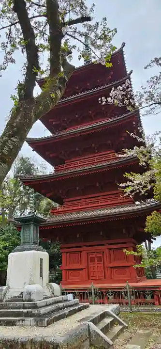 法華経寺の{uncategorized: "未分類", other: "その他", undefined: "問題あり", building: "その他建物", grave: "お墓", sacred_gate: "鳥居", guardian: "狛犬", statue: "像", buddha: "仏像", history: "歴史", nature: "自然", garden: "庭園", animal: "動物", pagoda: "塔", temizu: "手水舎", mountain_gate: "山門・神門", sanctuary: "本殿・本堂", subordinate: "末社・摂社", art: "芸術", scenery: "景色", jizo: "地蔵", ema: "絵馬", goshuin: "御朱印", omikuji: "おみくじ", items: "授与品その他", amulet: "お守り", goshuincho: "御朱印帳", eats: "食事", festival: "お祭り", votive_dance: "神楽", shichigosan: "七五三参", wedding: "結婚式", experience: "体験その他", initially: "初詣", around: "周辺", anti_infection: "感染症対策"}