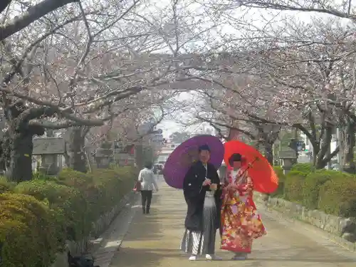 鶴岡八幡宮の結婚式