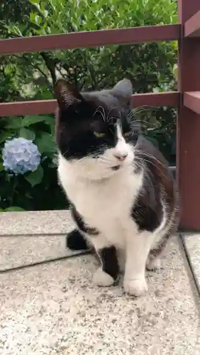 回向院(東京都)