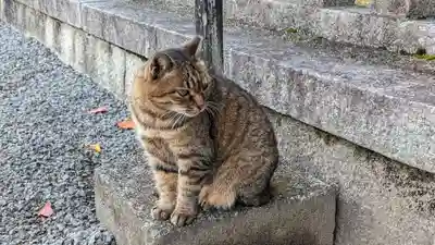 本満寺(本願満足寺)(京都府)