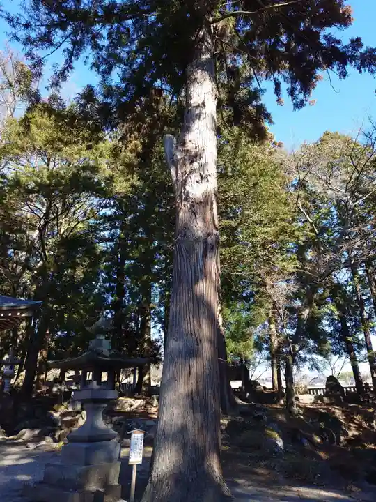 逸見神社(山梨県)